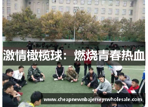 激情橄榄球：燃烧青春热血